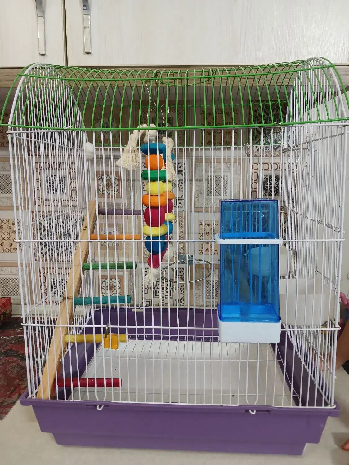 قفس پرنده همراه تمامی لوازم|لوازم جانبی حیوانات|تهران, مشیریه|دیوار