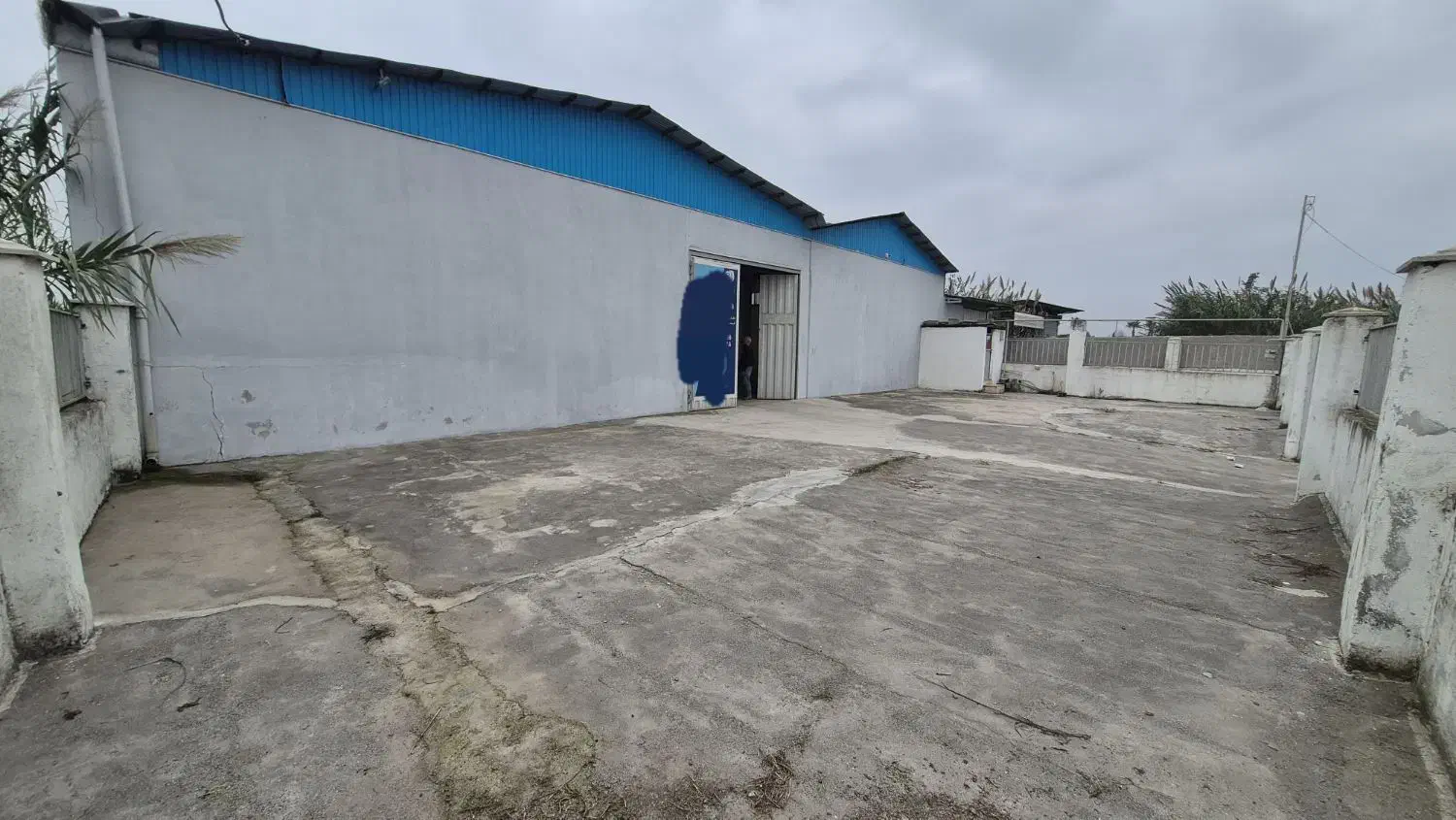 مجموعه سوله ۵۵۰ متری بهداشتی/جاده آمل|اجارهٔ دفتر صنعتی، کشاورزی، تجاری|آمل, |دیوار