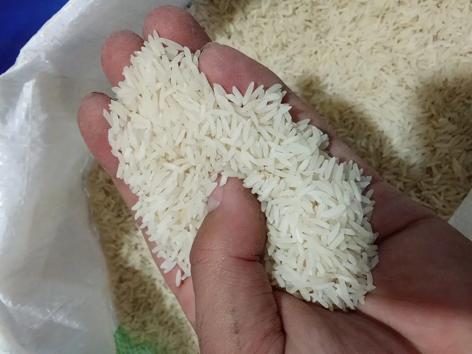 برنج فجر|خوردنی و آشامیدنی|تالش, هشتپر|دیوار