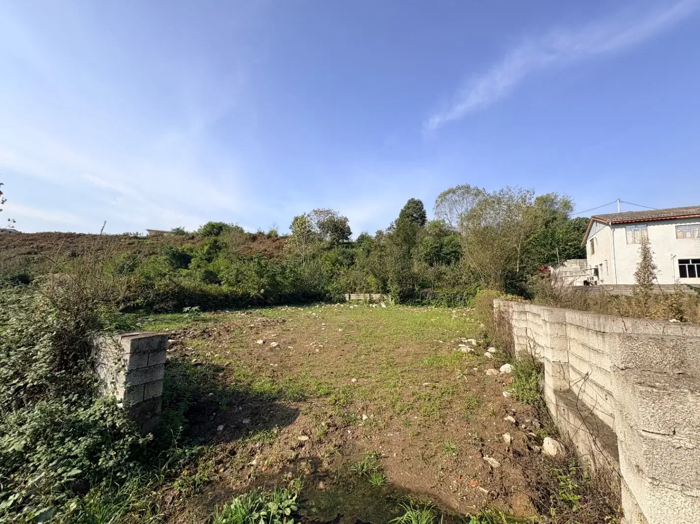 زمین۴۹۵متری/تک برگ/ویرمونی|فروش زمین و ملک کلنگی|آستارا, |دیوار