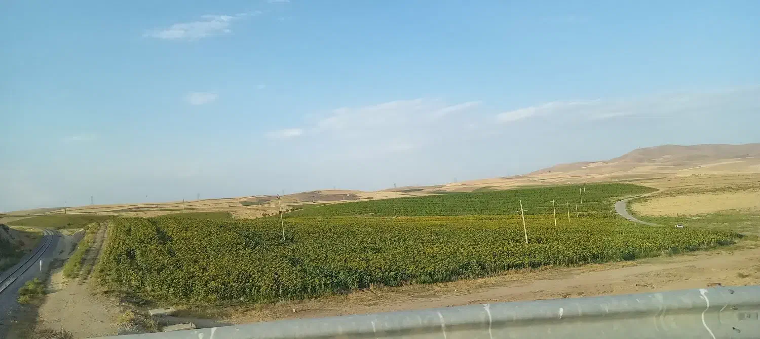 زمین کشاورزی|اجارهٔ دفتر صنعتی، کشاورزی، تجاری|محمدبار, |دیوار