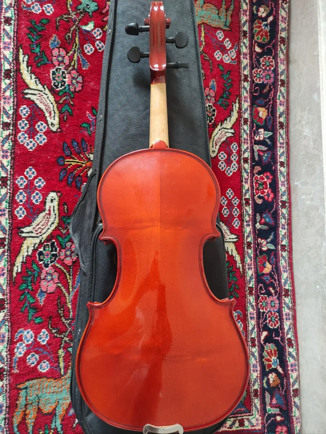 ویولن رناتو|ویولن|کرمانشاه, |دیوار