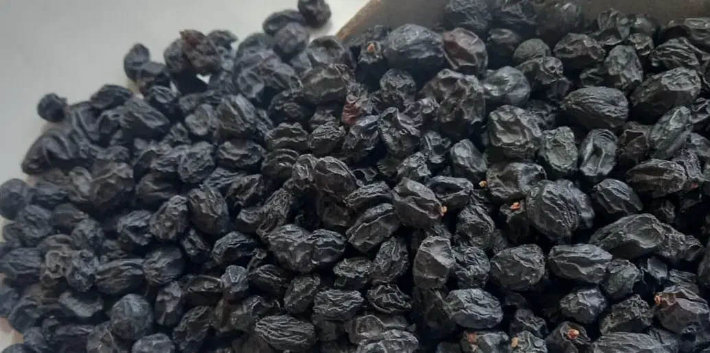 کشمش افتابی،سبز،زرد|خوردنی و آشامیدنی|کاشمر, |دیوار