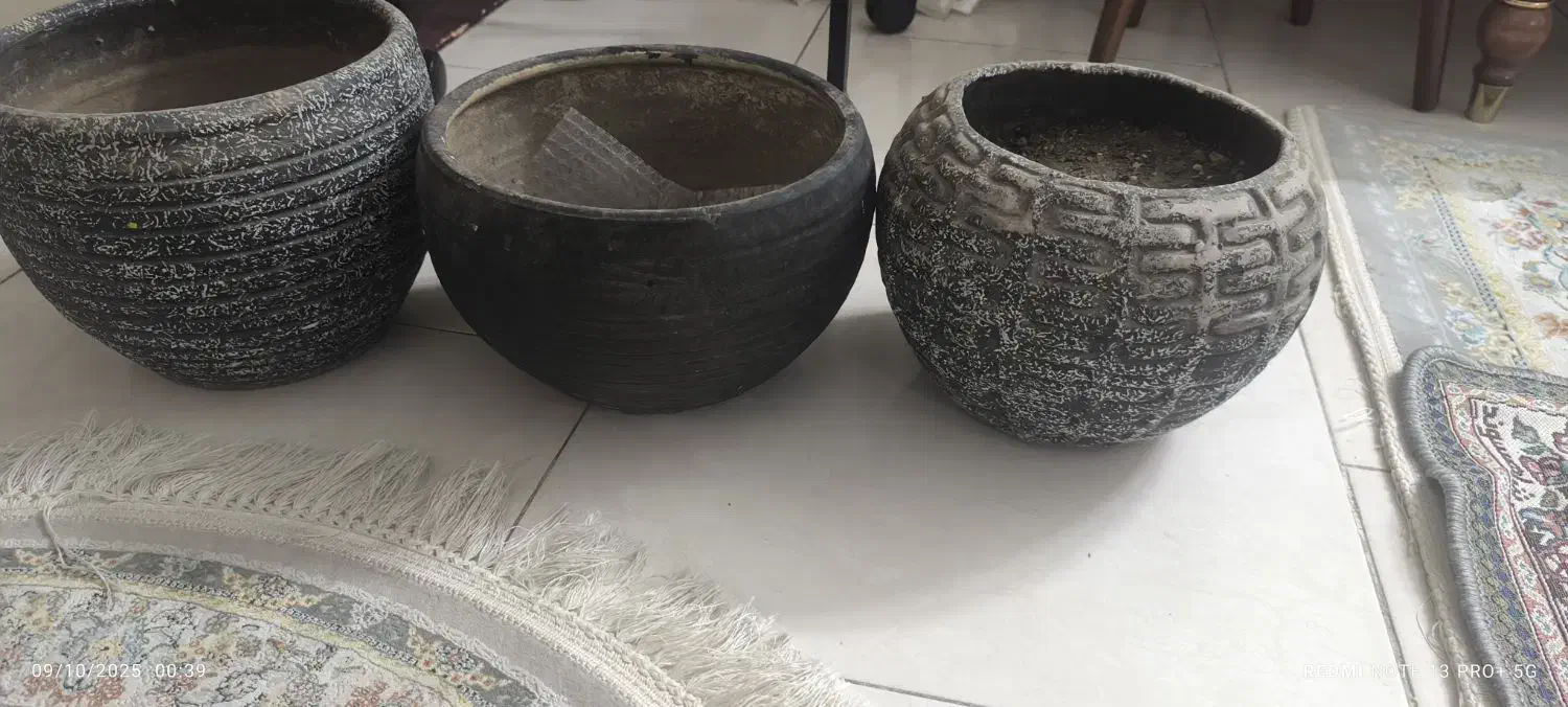 گلدان|گل و گیاه طبیعی|تهران, آهنگران (سراسیاب دولاب)|دیوار