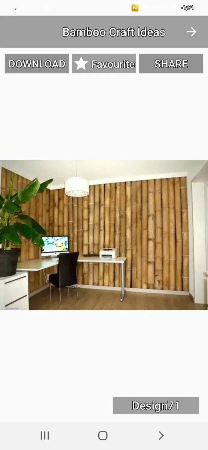 نی نیزار (بامبو)|گل و گیاه طبیعی|سرخرود, |دیوار