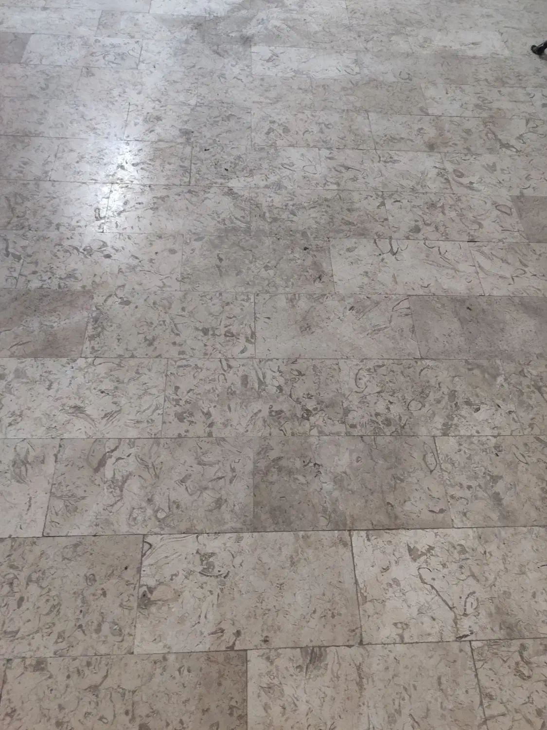 مغازه میدان نماز|اجارهٔ مغازه و غرفه|تالش, هشتپر|دیوار