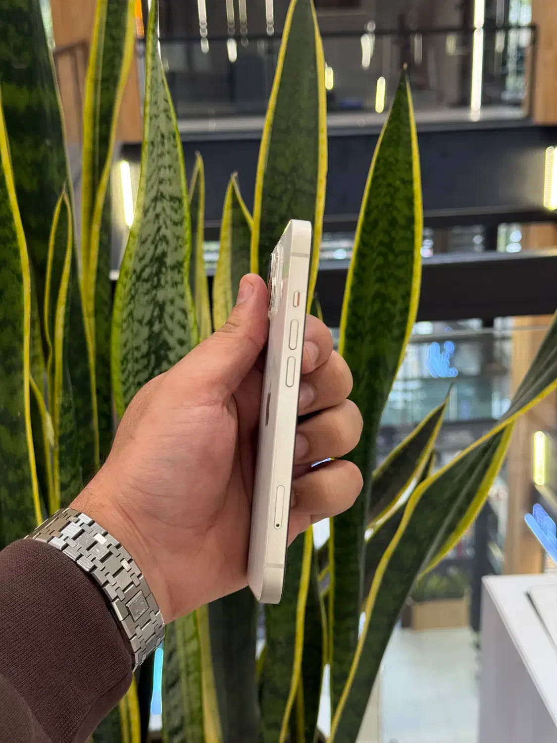 آیفون ۱۳ نرمال|موبایل|رشت, چله خانه|دیوار