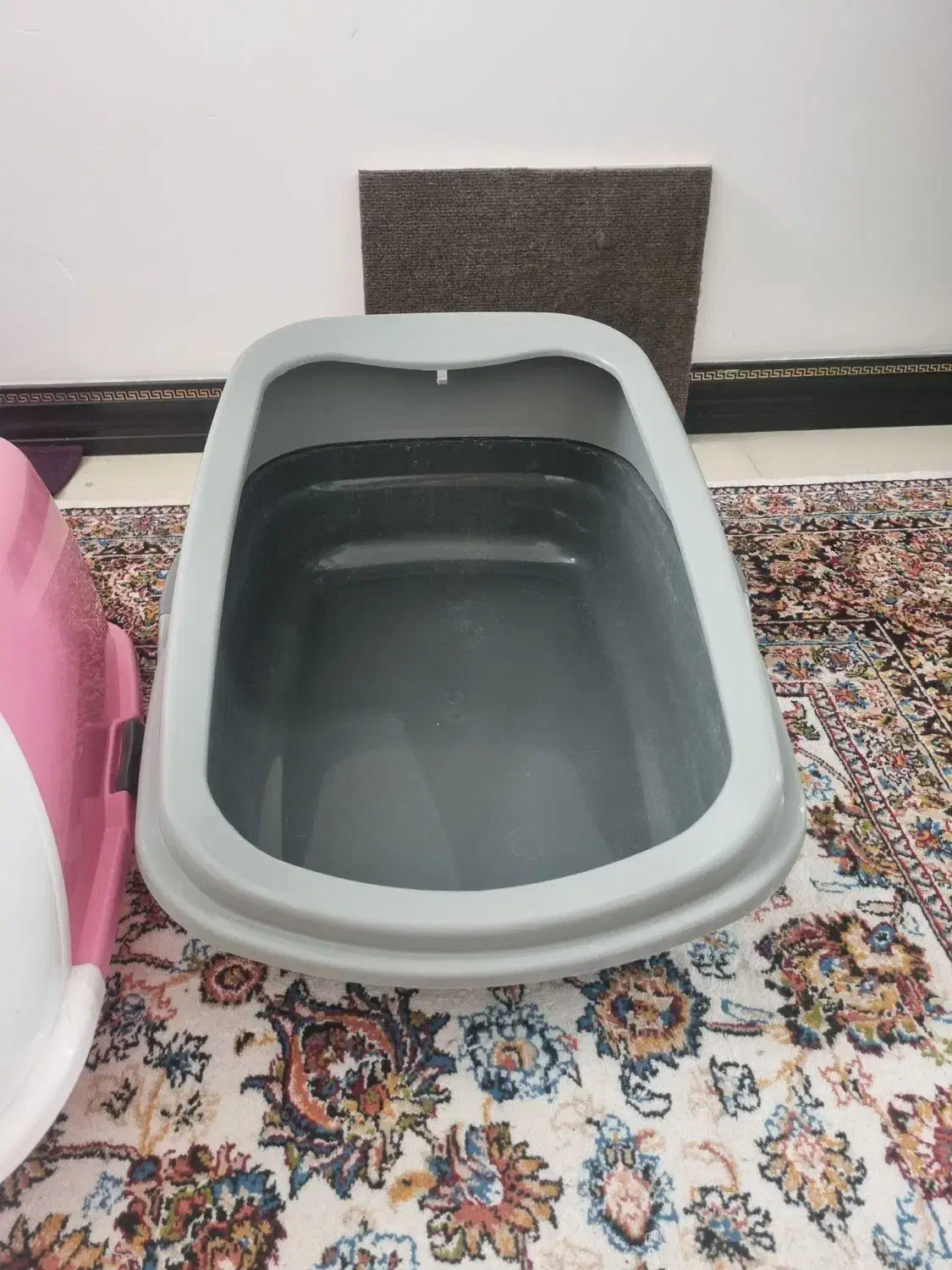 گربه|لوازم جانبی حیوانات|قم, سعادتی|دیوار