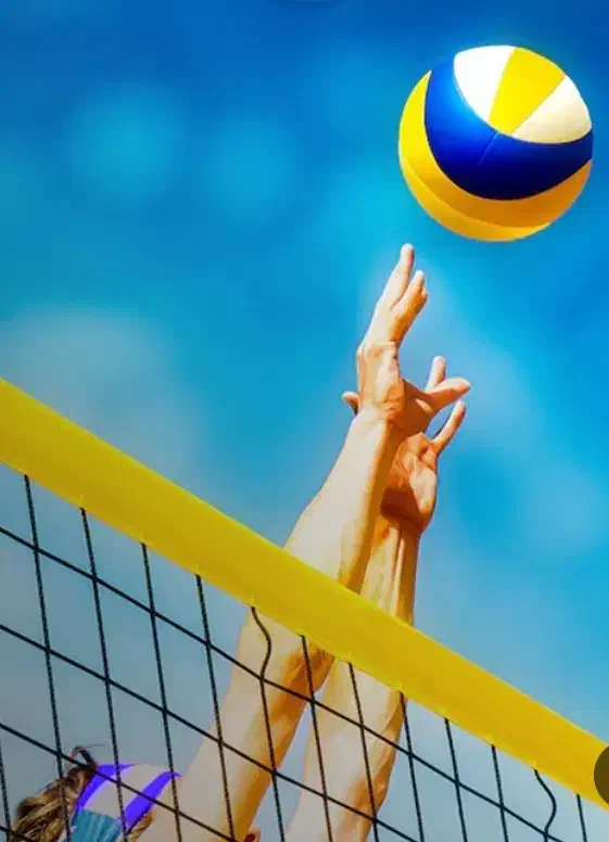 بازیکن والیبال|فعالیت داوطلبانه|تربتحیدریه, یحیی آباد|دیوار