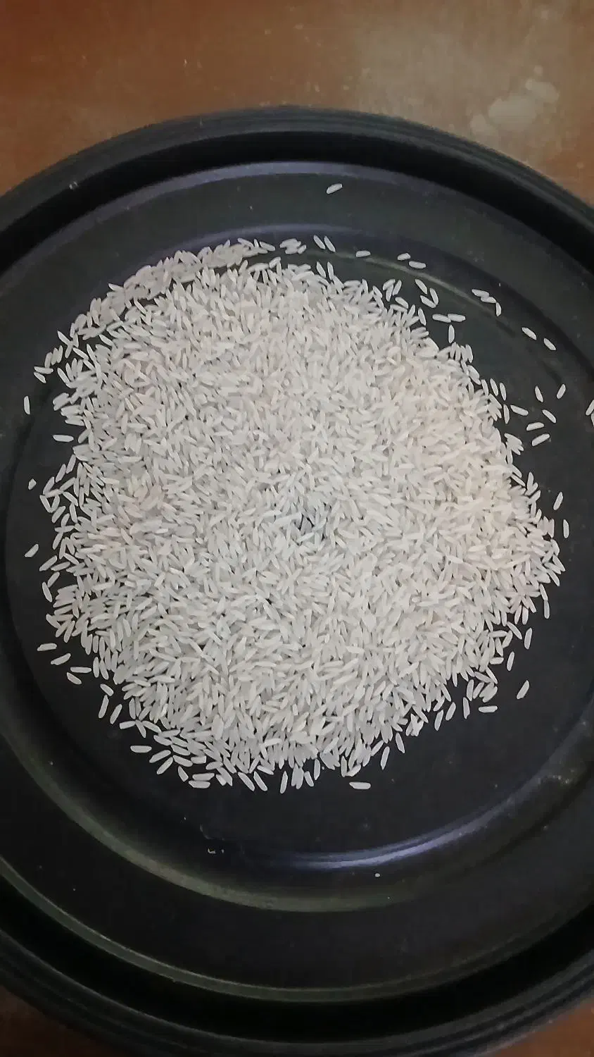 برنج هاشمی درجه ۱ اصل|خوردنی و آشامیدنی|توتکابن, |دیوار