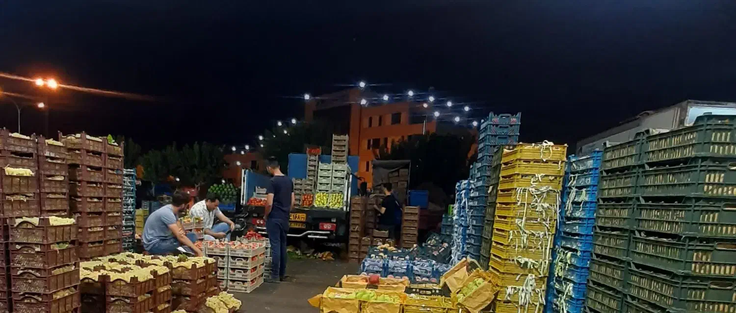 کارگر ساده میدان تره بار مرکزی|استخدام صنعتی، فنی، مهندسی|تهران, دولتخواه جنوبی|دیوار