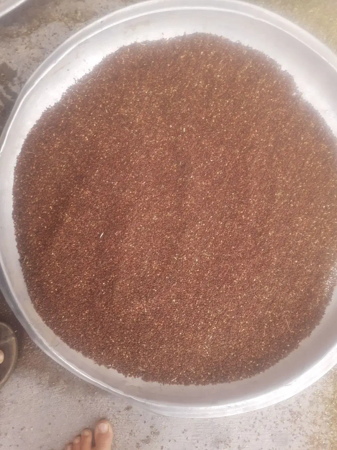 کنجدتمیزپاکشده|خوردنی و آشامیدنی|باغ ملک, |دیوار