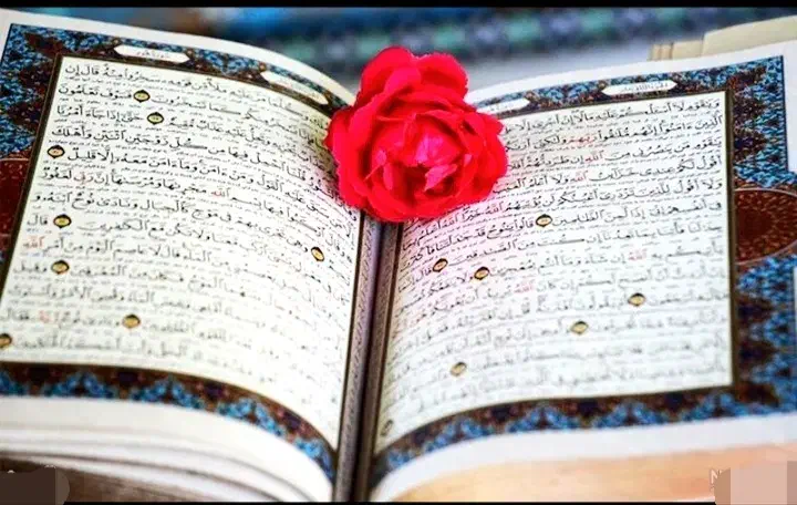 سرکتاب|کتاب و مجله مذهبی|تهران, سلیمانی|دیوار