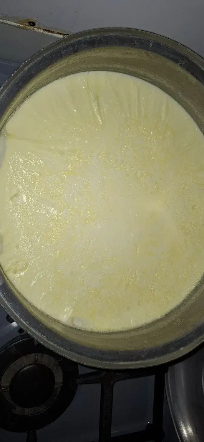 آغوز|خوردنی و آشامیدنی|اراک, |دیوار