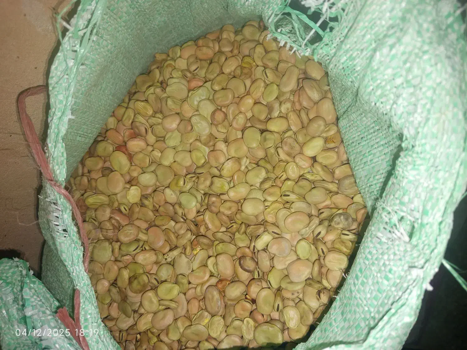 باقلی|خوردنی و آشامیدنی|ماهیدشت, |دیوار