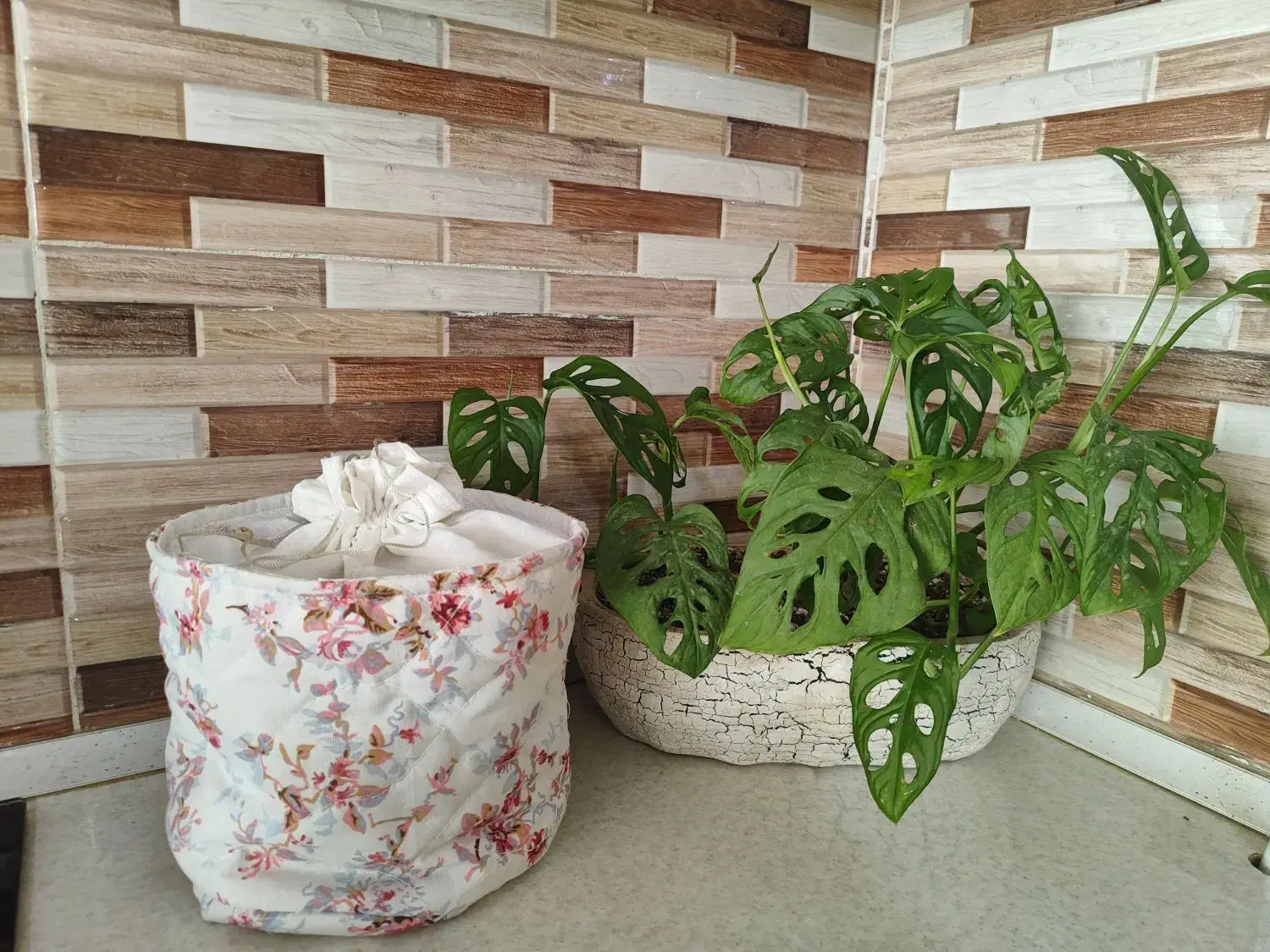 کیف سبزی یا میوه|ظروف نگهدارنده، پلاستیکی، یکبارمصرف|گلبهار, شهر جدید گلبهار|دیوار