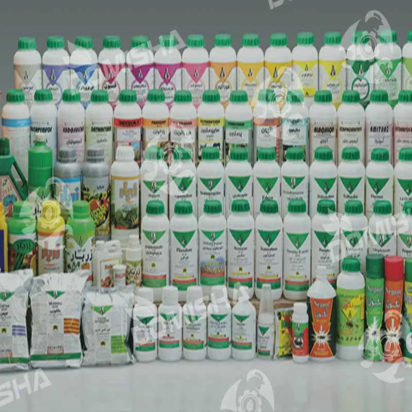 سَمپاشی سم پاشی ساس موش سوسک تشخیص سم کرمان|خدمات نظافت|کرمان, |دیوار