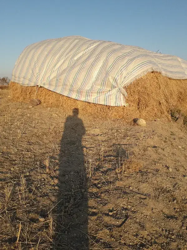 فروش یونجه درمشگین شهر|خدمات باغبانی و درختکاری|اردبیل, |دیوار