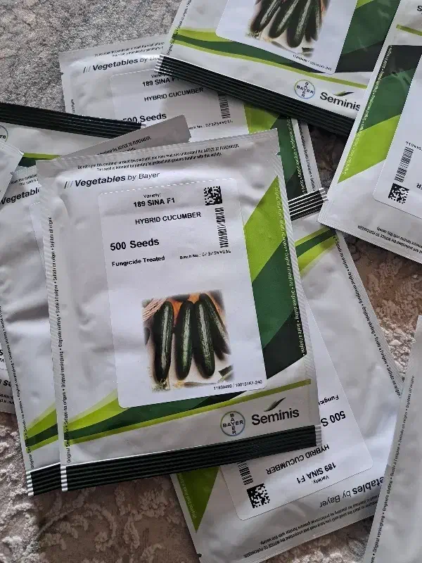 بذر خیار 547 و رویال فرانسه|خدمات باغبانی و درختکاری|عنبرآباد, |دیوار