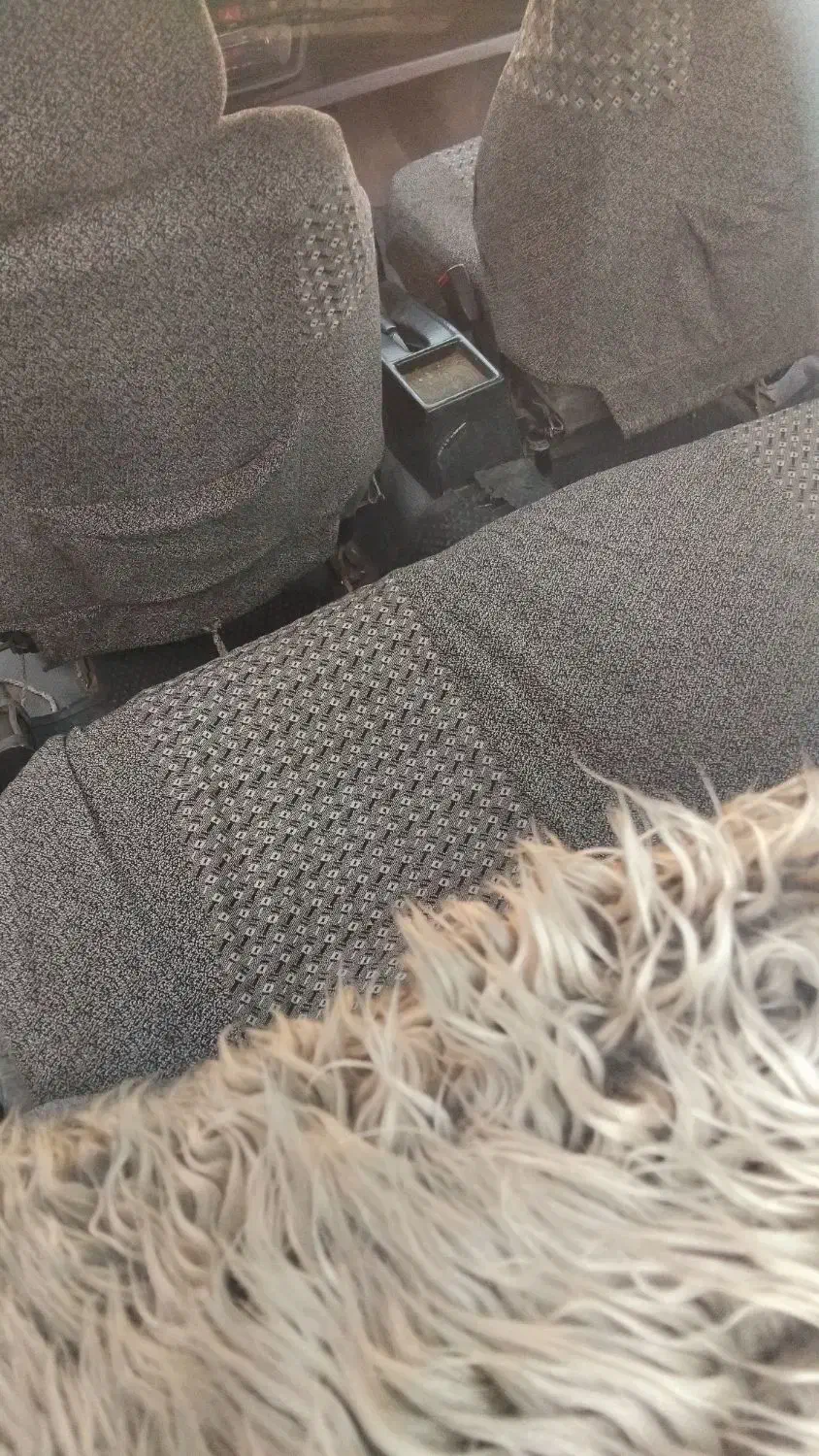 پیکان تمیز مدل ۸۳|خودرو سواری و وانت|کرمانشاه, |دیوار