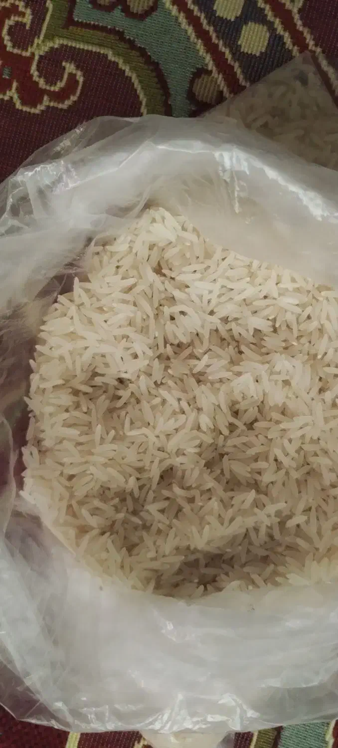 برنج فجر|عمدهفروشی|گرگان, |دیوار