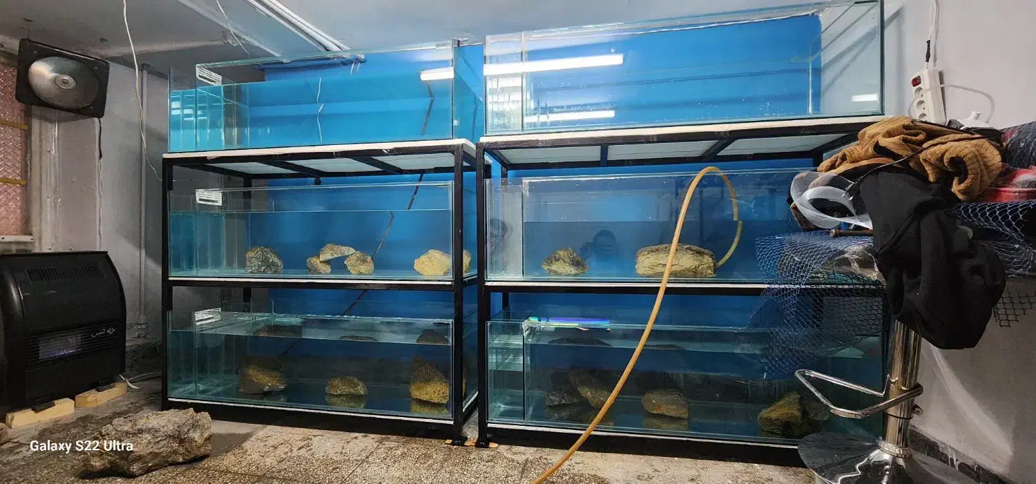 اکواریوم ۳طبقه|ماهی|مشهد, میعاد (شهرک غرب)|دیوار