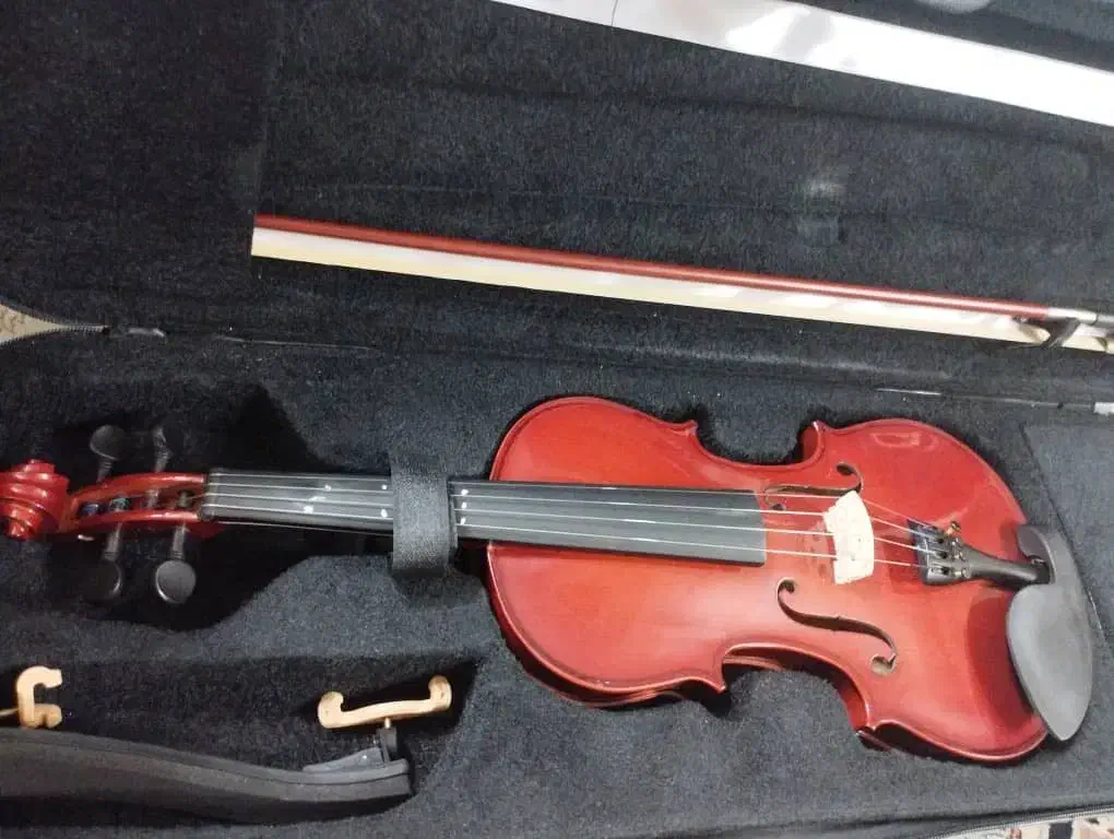 ویولن سایز ۴/۴ آماتی|ویولن|تهران, نارمک|دیوار