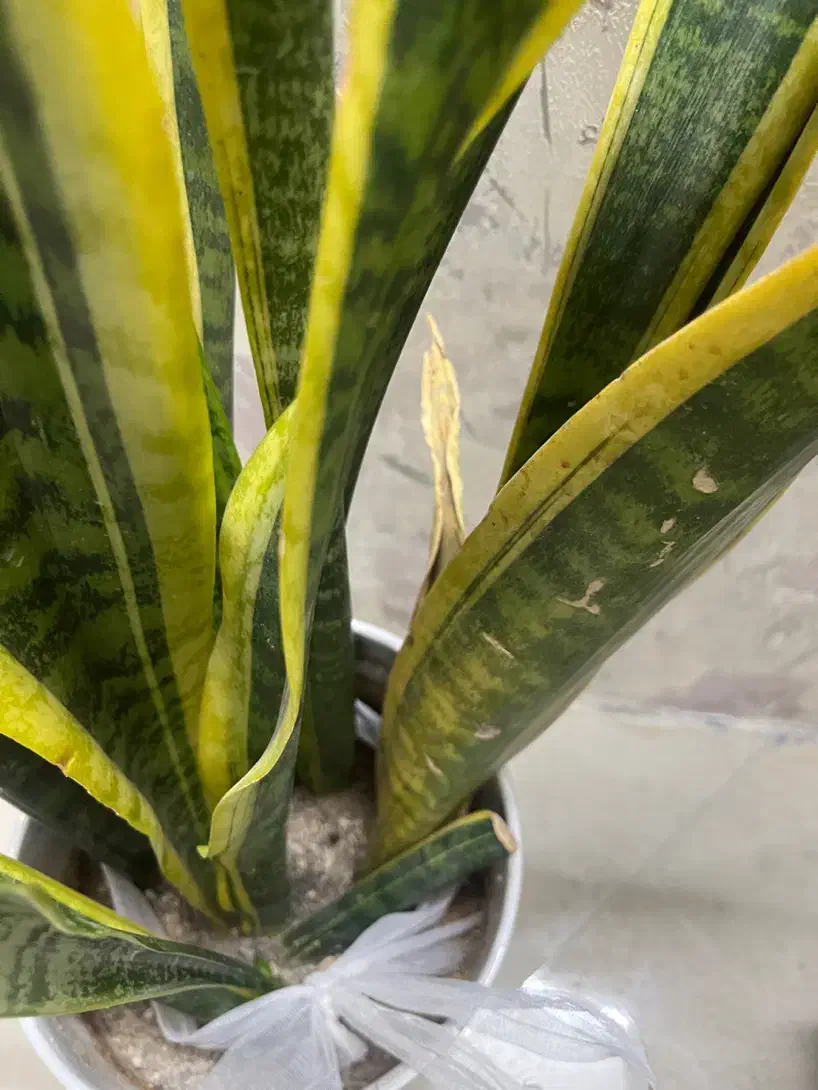 اجاره اتاق برای مشاوره|اجارهٔ دفتر کار، اتاق اداری، مطب|سبزوار, کاشفی شمالی (دادگستری)|دیوار