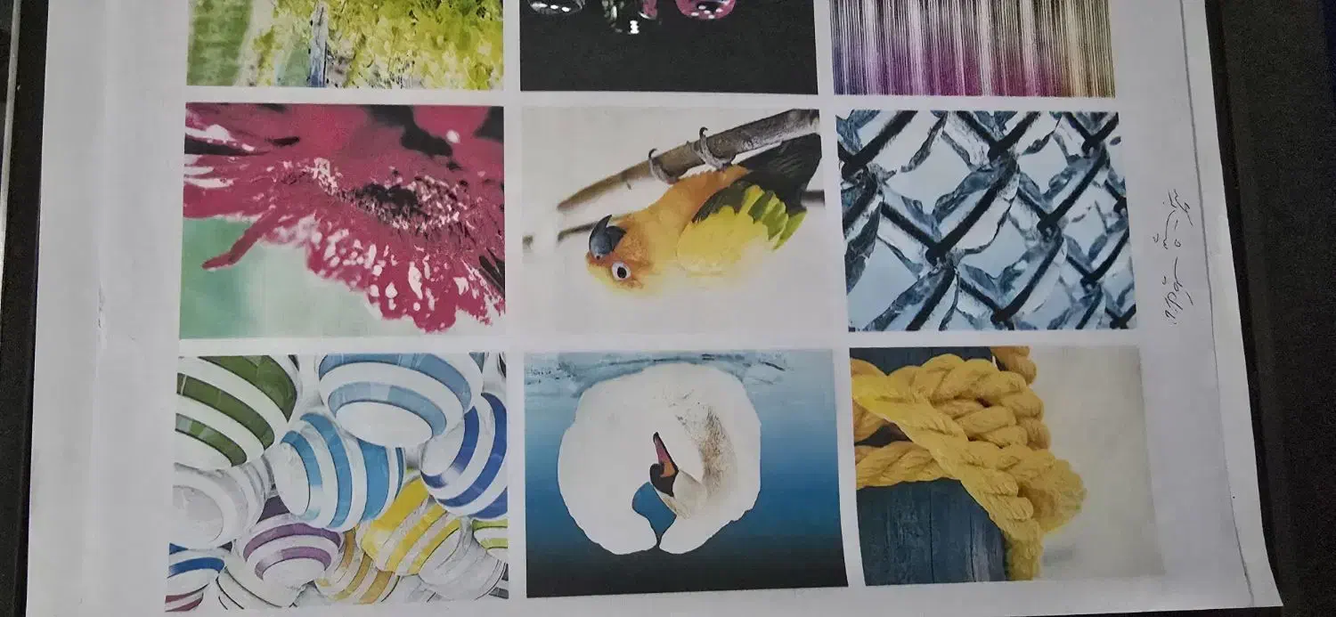 پرینتر اپسون مدل ۹۳۰۰|پرینتر، اسکنر، کپی، فکس|مشهد, آزادشهر|دیوار