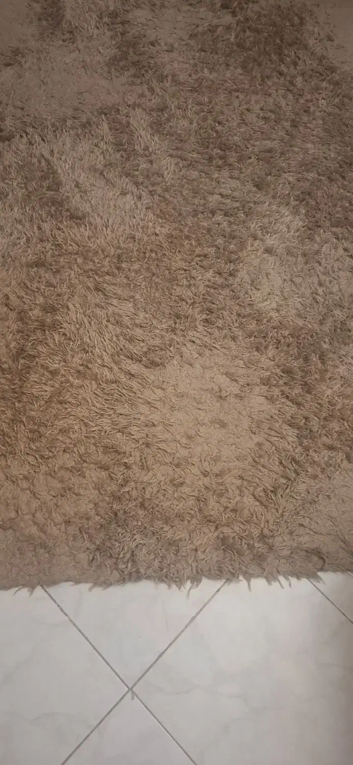 ۵ تخته فرش شگی مارک پیر گاردن|فرش|تهران, لویزان|دیوار