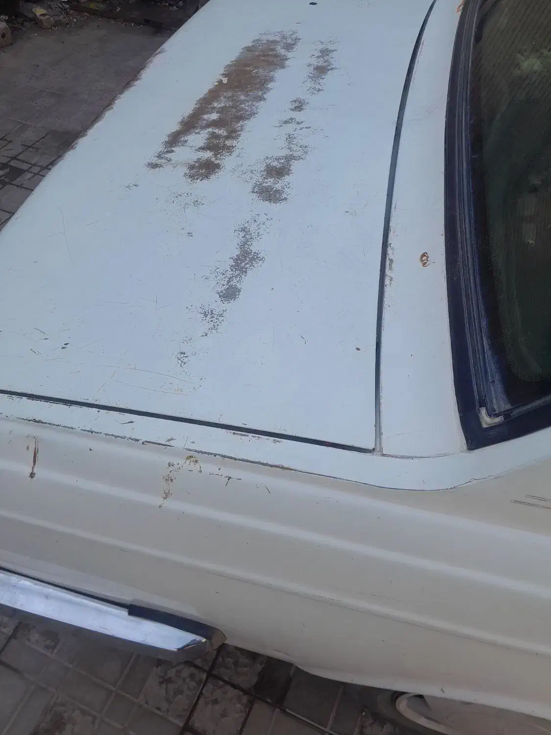 پیکان ۸۱|خودرو سواری و وانت|رفسنجان, |دیوار