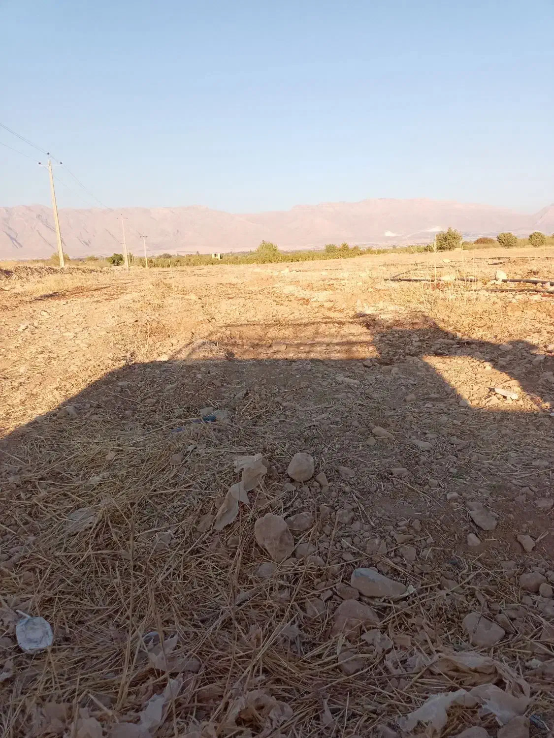 زمین|اجارهٔ دفتر صنعتی، کشاورزی، تجاری|کوار, |دیوار