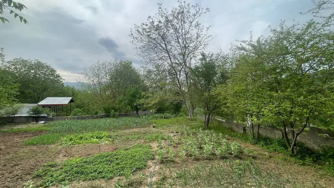 سند|خدمات پیشه و مهارت|توتکابن, |دیوار