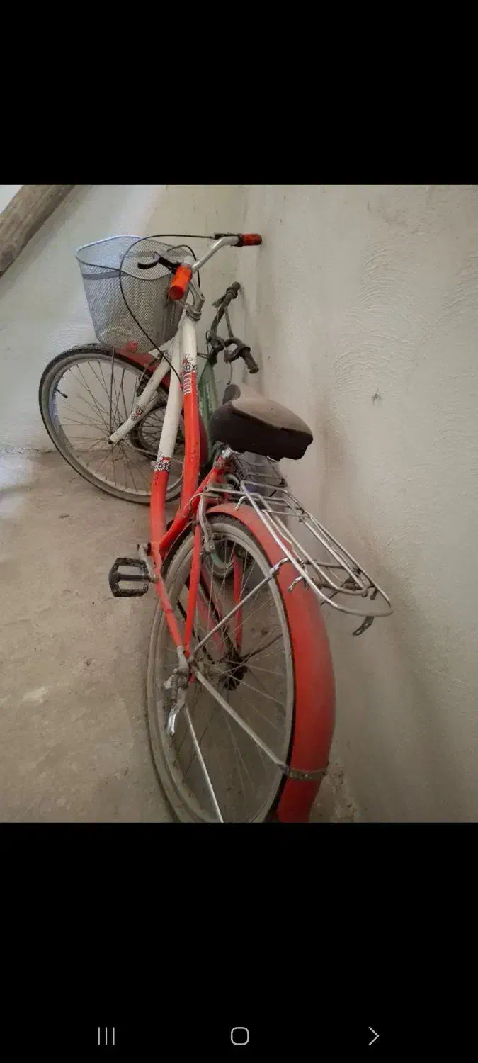 دوچرخه چینی دوچرخه کورسی|دوچرخه، اسکیت، اسکوتر|اصفهان, جاوان|دیوار