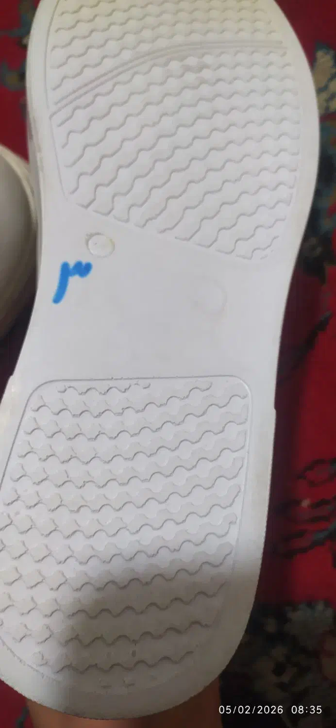 کفش مردانه|کیف، کفش، کمربند|شیراز, اصلاح‌نژاد|دیوار