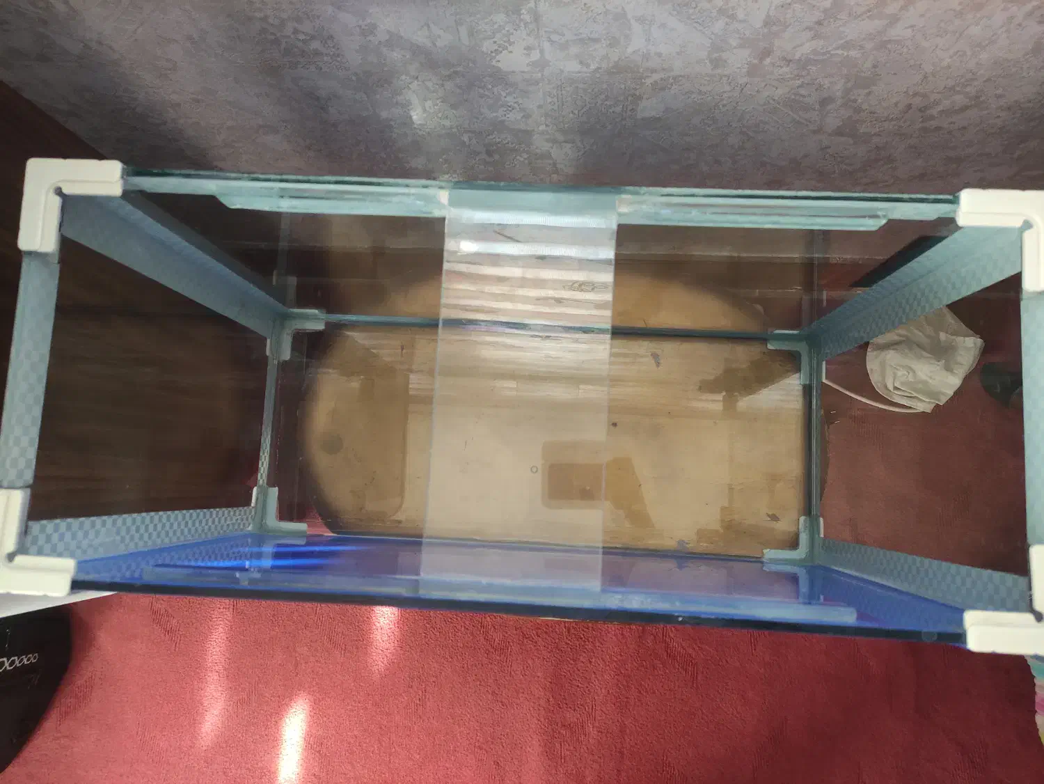 آکواریوم ۶۰ لیتری شیشه ۶ میل+ دماسنج نواری|ماهی|خوی, |دیوار