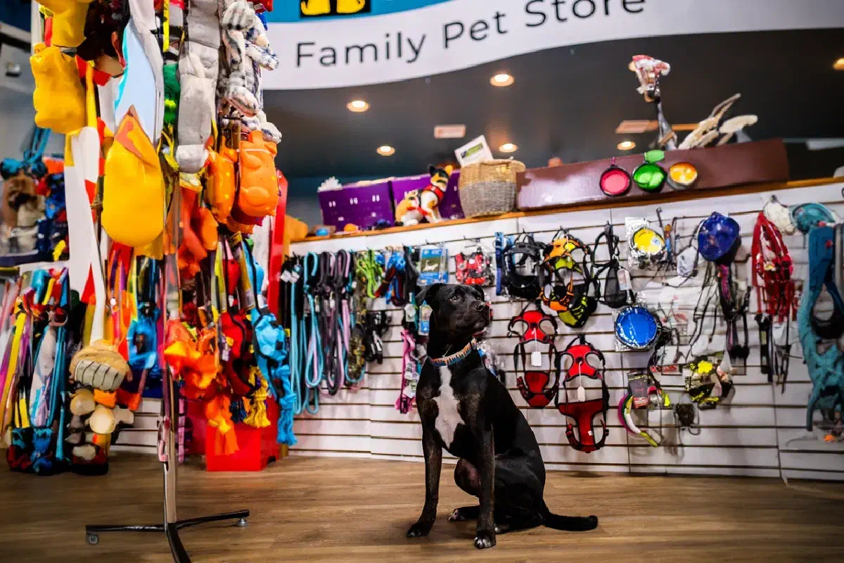 استخدام در کلینیک و پت شاپ دامپزشکی|استخدام درمانی، زیبایی، بهداشتی|سهند, |دیوار