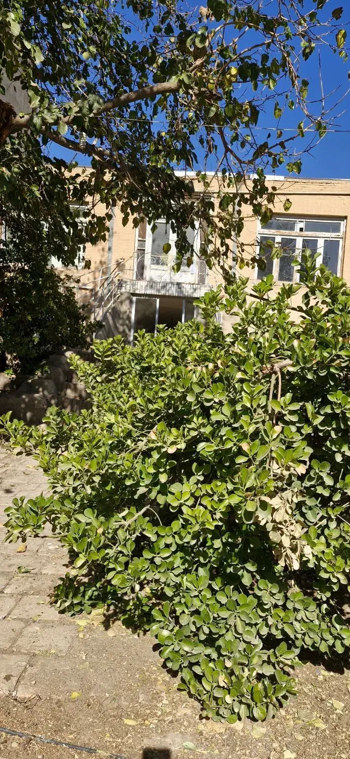 خانه باغ قدیمی برای عکاسی و فیلم برداری|خدمات پذیرایی، مراسم|سبزوار, کاشفی شمالی (دادگستری)|دیوار