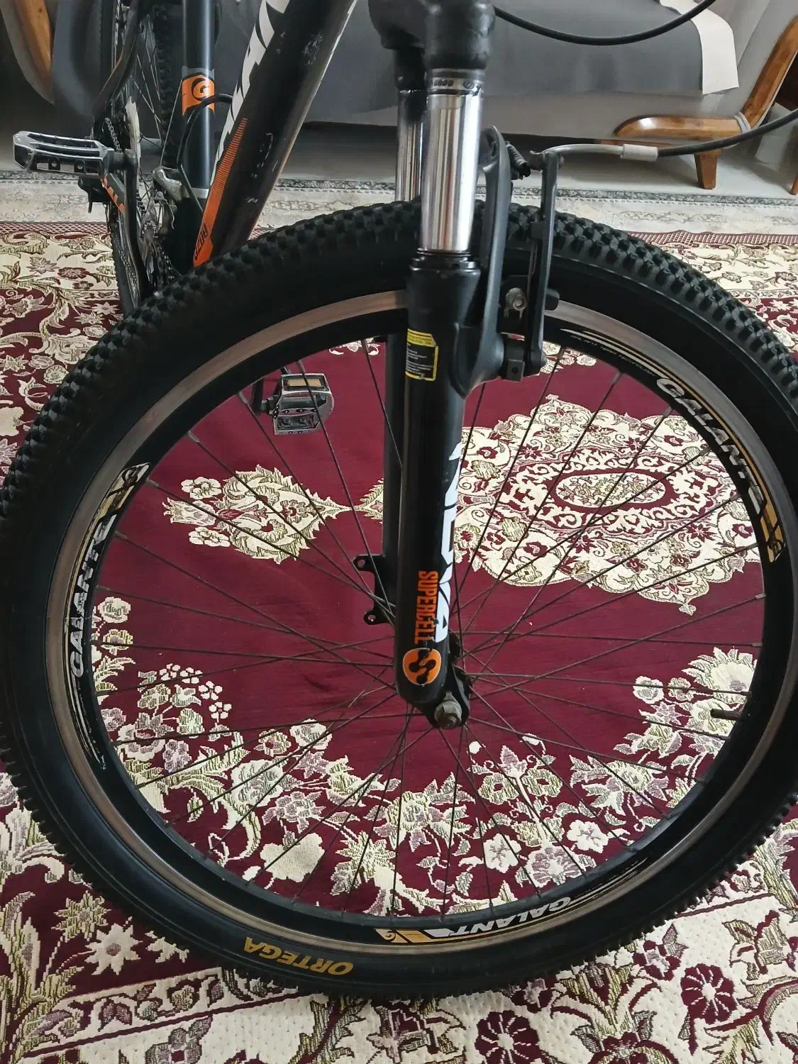 دوچرخه 26|دوچرخه، اسکیت، اسکوتر|رشت, حومه رشت|دیوار