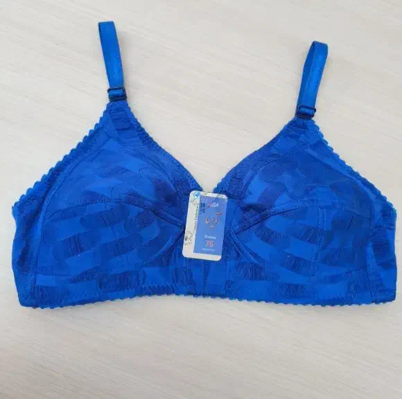 لباس زیر|لباس|اردبیل, |دیوار