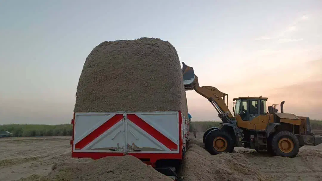 کاه نیشکر|لوازم جانبی حیوانات|قائن, |دیوار