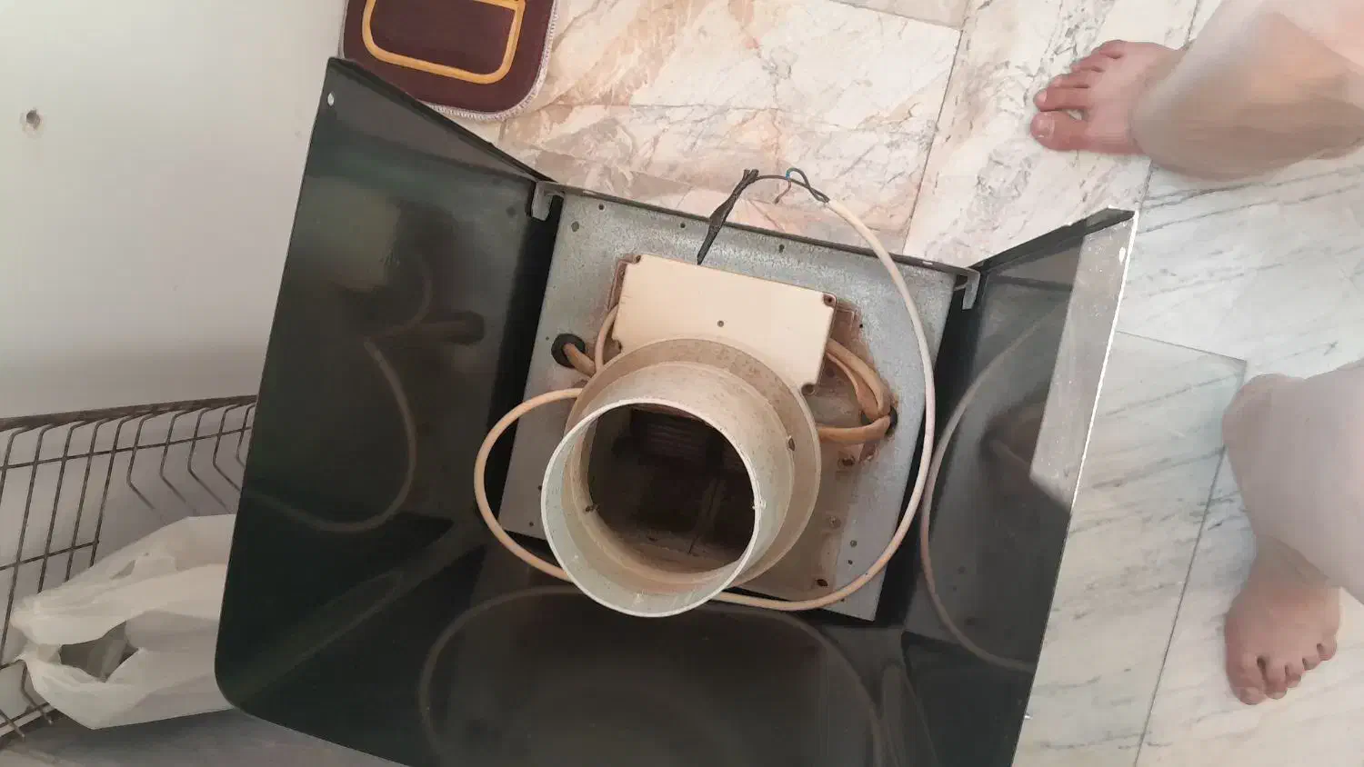 هود سالم|هود|اسلامشهر, زرافشان|دیوار