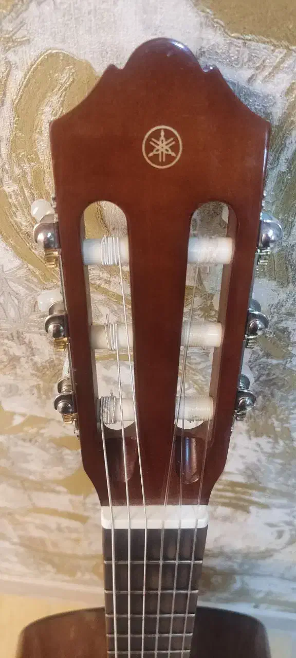 گیتار|گیتار، بیس، امپلیفایر|زاهدان, |دیوار