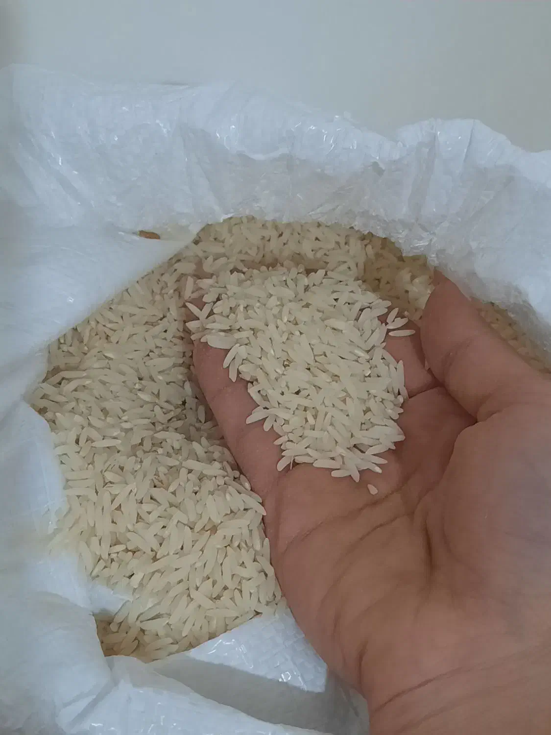 برنج هاشمی|خوردنی و آشامیدنی|محمدشهر, محمدشهر|دیوار