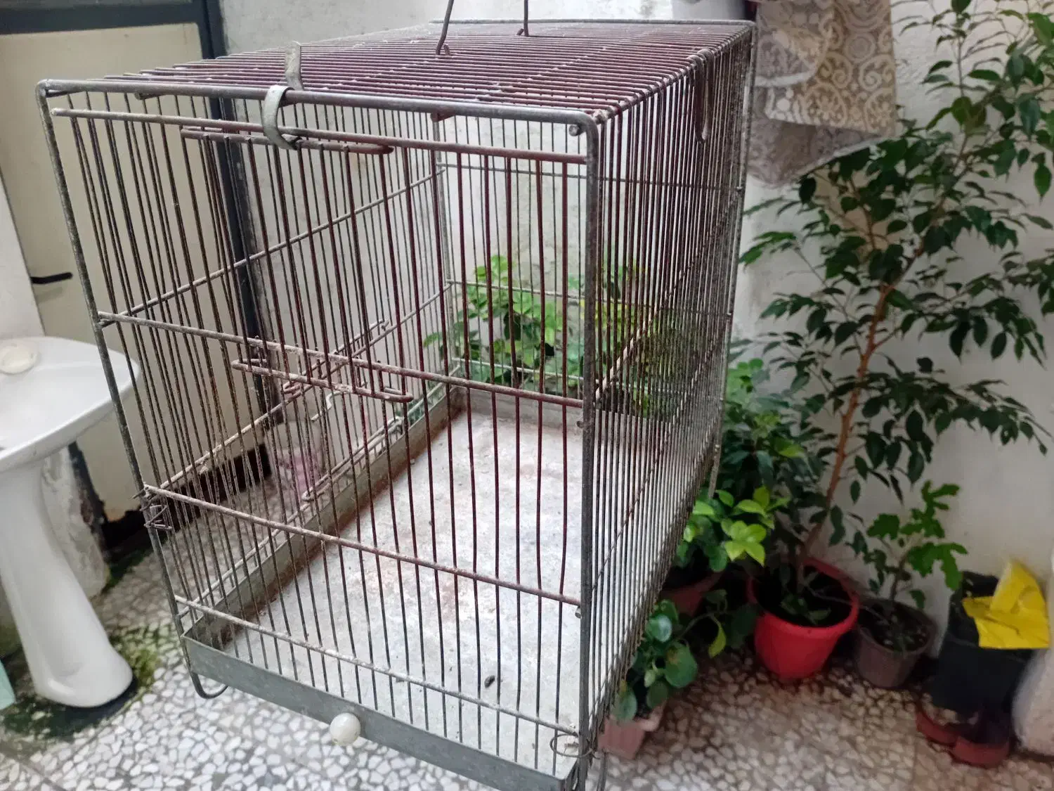 قفس سهره غلامی|لوازم جانبی حیوانات|رشت, توشیبا|دیوار