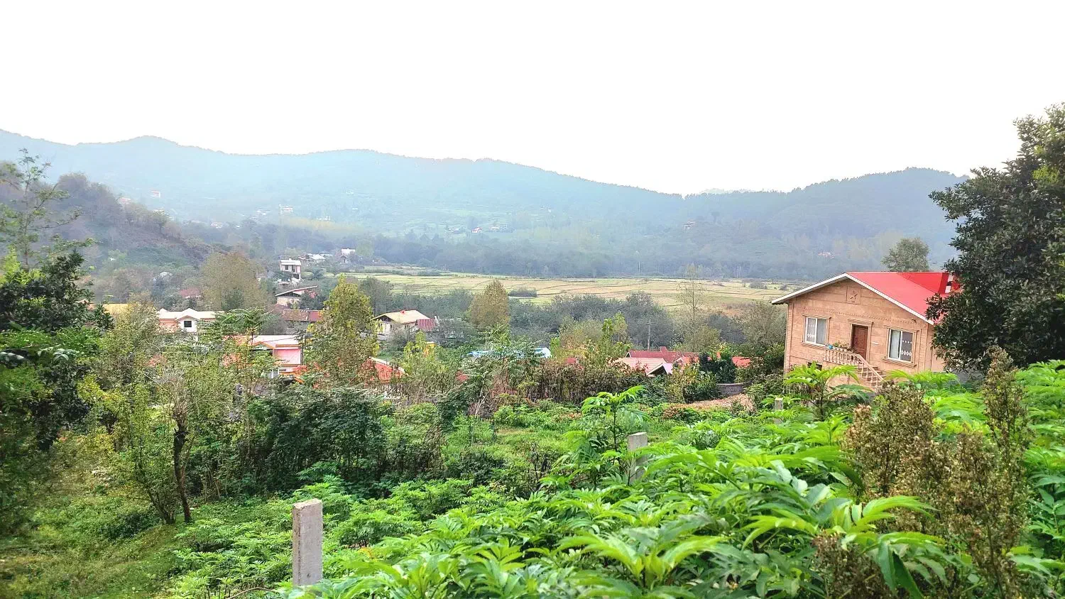 زمین مسکونی باغی ششصد متری توشی ویو ابدی|فروش زمین و ملک کلنگی|سیاهکل, |دیوار