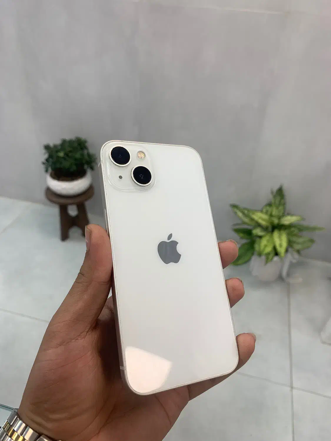 iPhone 13 normal|موبایل|تالش, هشتپر|دیوار