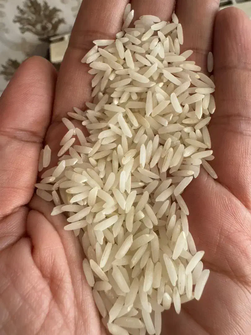 برنج طارم هاشمی و طارم محلی ارزانتر از هر جا|خوردنی و آشامیدنی|تهران, میرداماد|دیوار