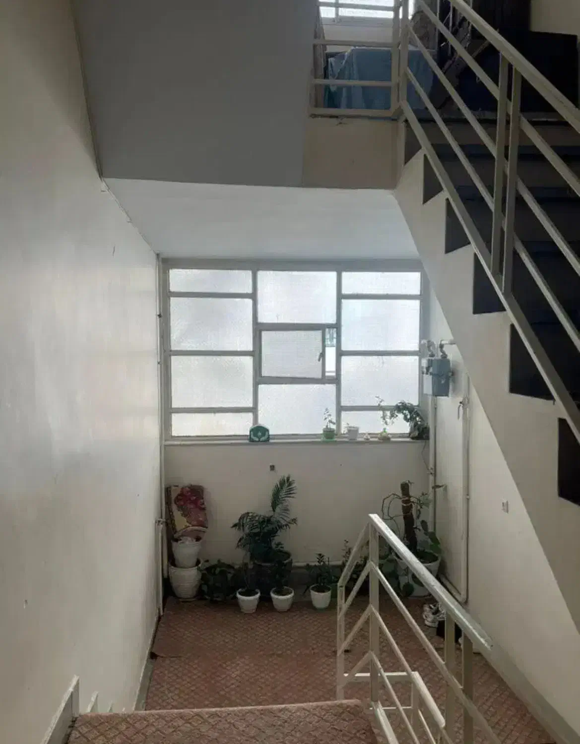 ط ۳ مستقل/ تخلیه/پیش ۵۰ ماهانه ۴۹۰۰ (املاک پشوتن)|اجارهٔ خانه و ویلا|تهران, سعیدآباد|دیوار