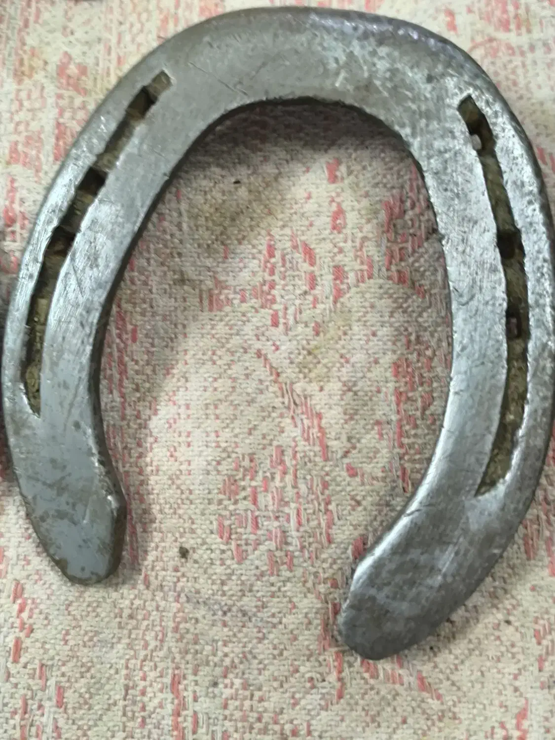 نعل اسب|اسب و تجهیزات اسب‌سواری|زابل, |دیوار